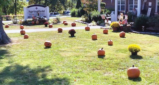Springfield Nursing and Rehab pumpkin patch in the front lawn