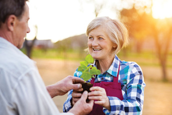 man handing a potted plant to a senior woman